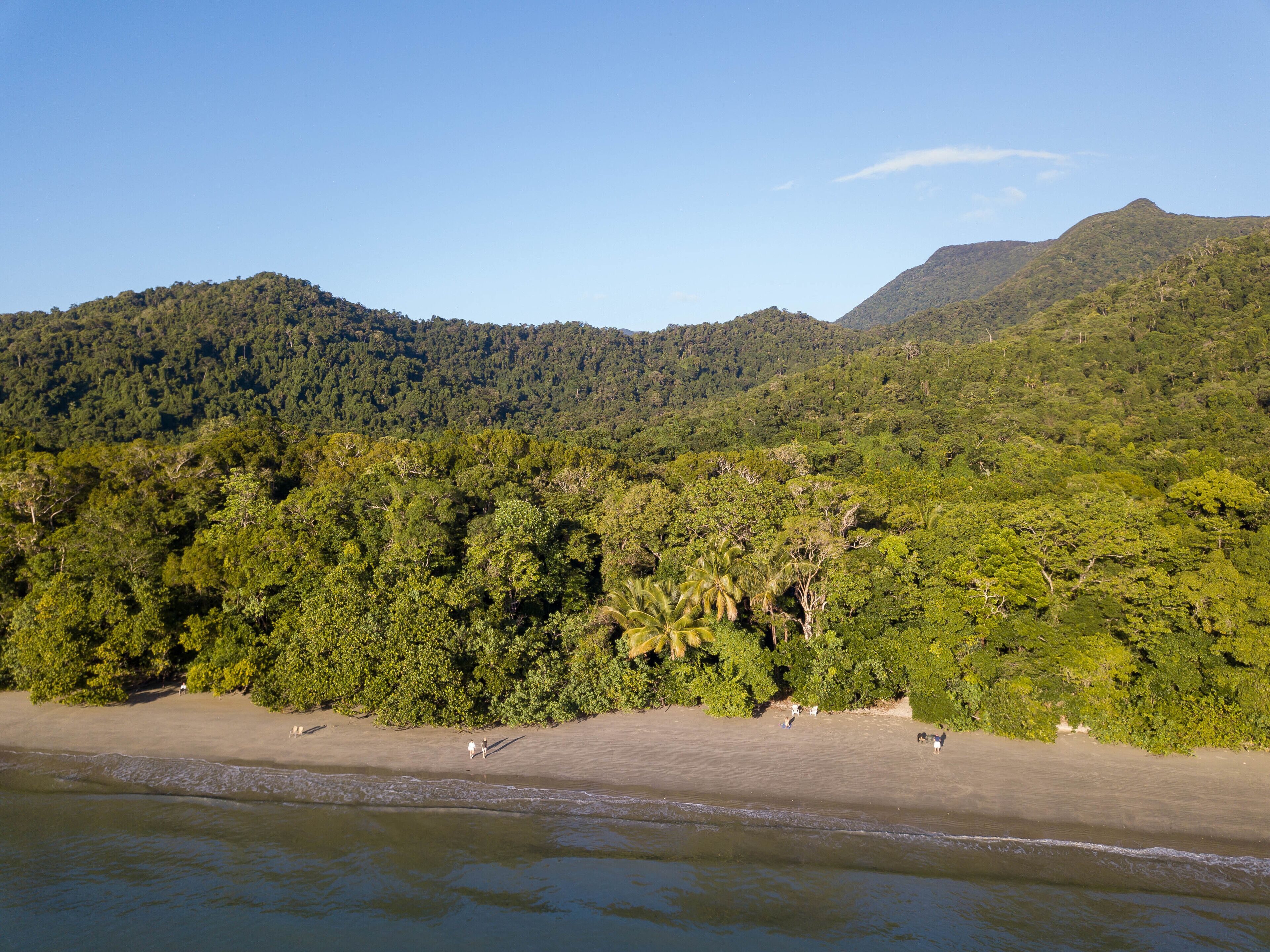 A beach with a forested hillside in the background.