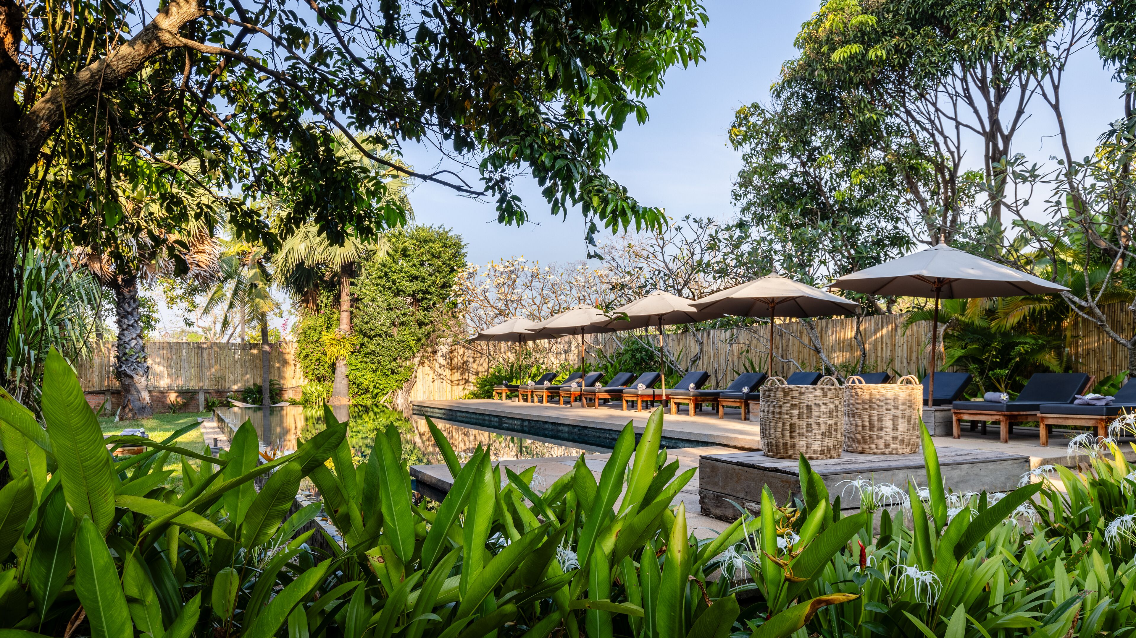 A pool area with lounge chairs and umbrellas, surrounded by lush greenery.
