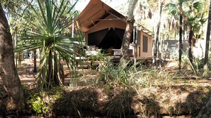 A wooden structure with a covered seating area, surrounded by trees and a small water body. - Mitchell Falls Wilderness Lodge (Mitchell Plateau)