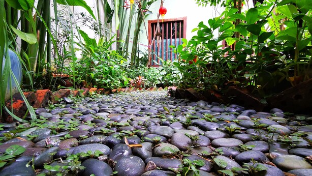 A pathway covered with large stones, surrounded by lush greenery and potted plants. - East Indies Mansion (George Town)
