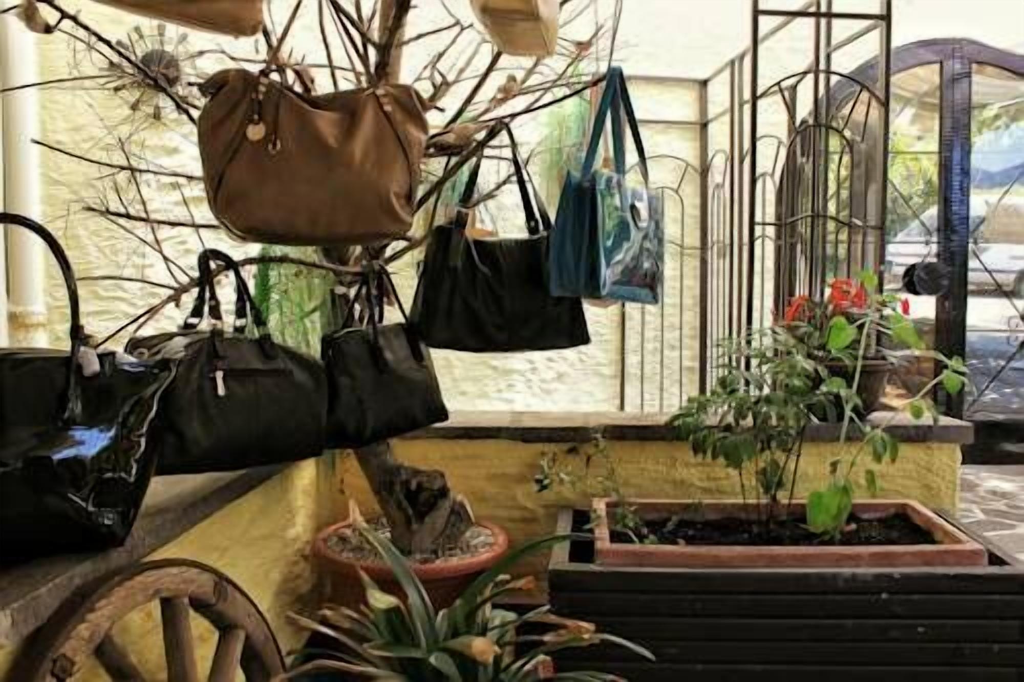 Ein Zimmer mit hängenden Taschen, einem Blumentopf und einem Fenster mit Blick.