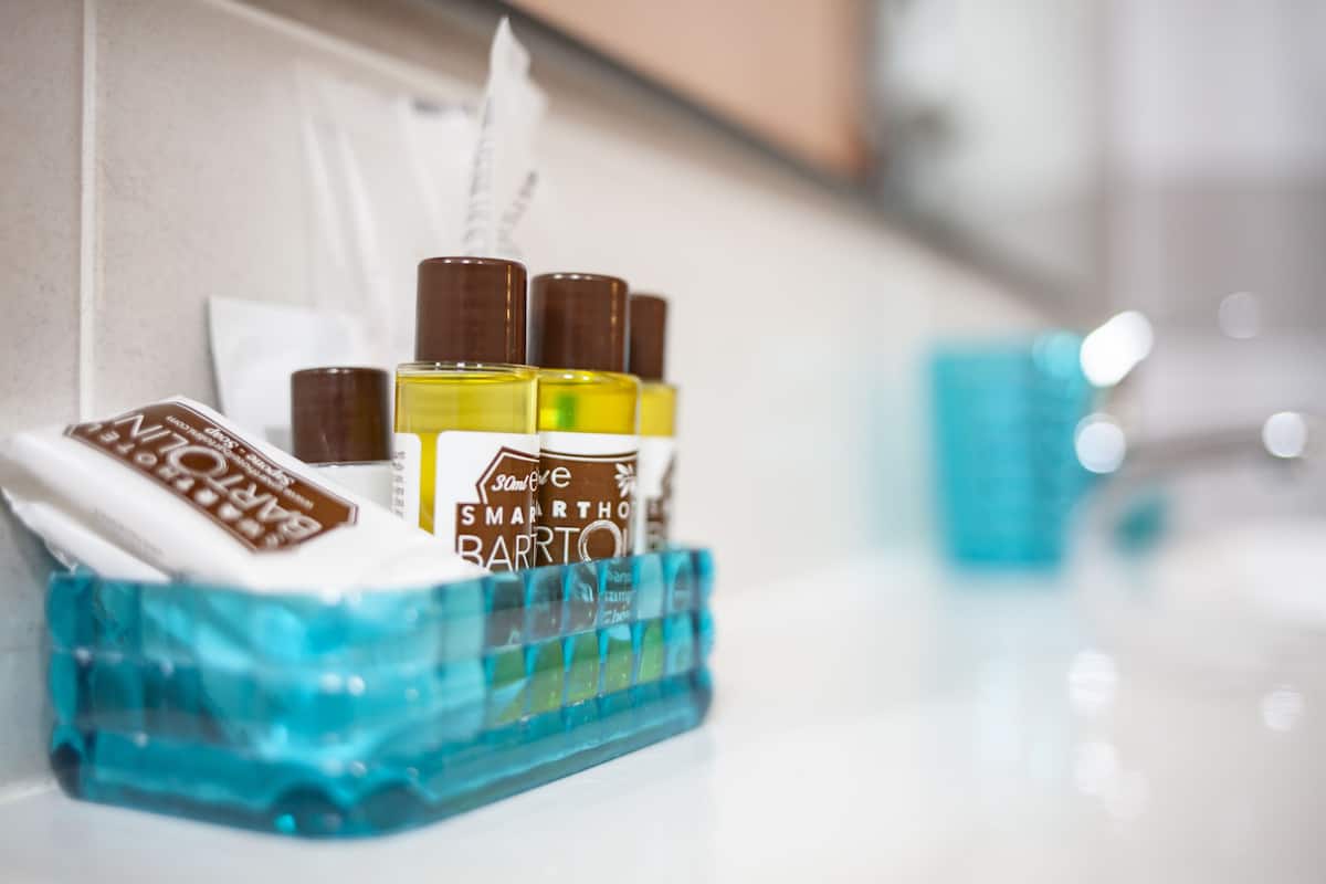 shower, rainfall showerhead, free toiletries, hair dryer