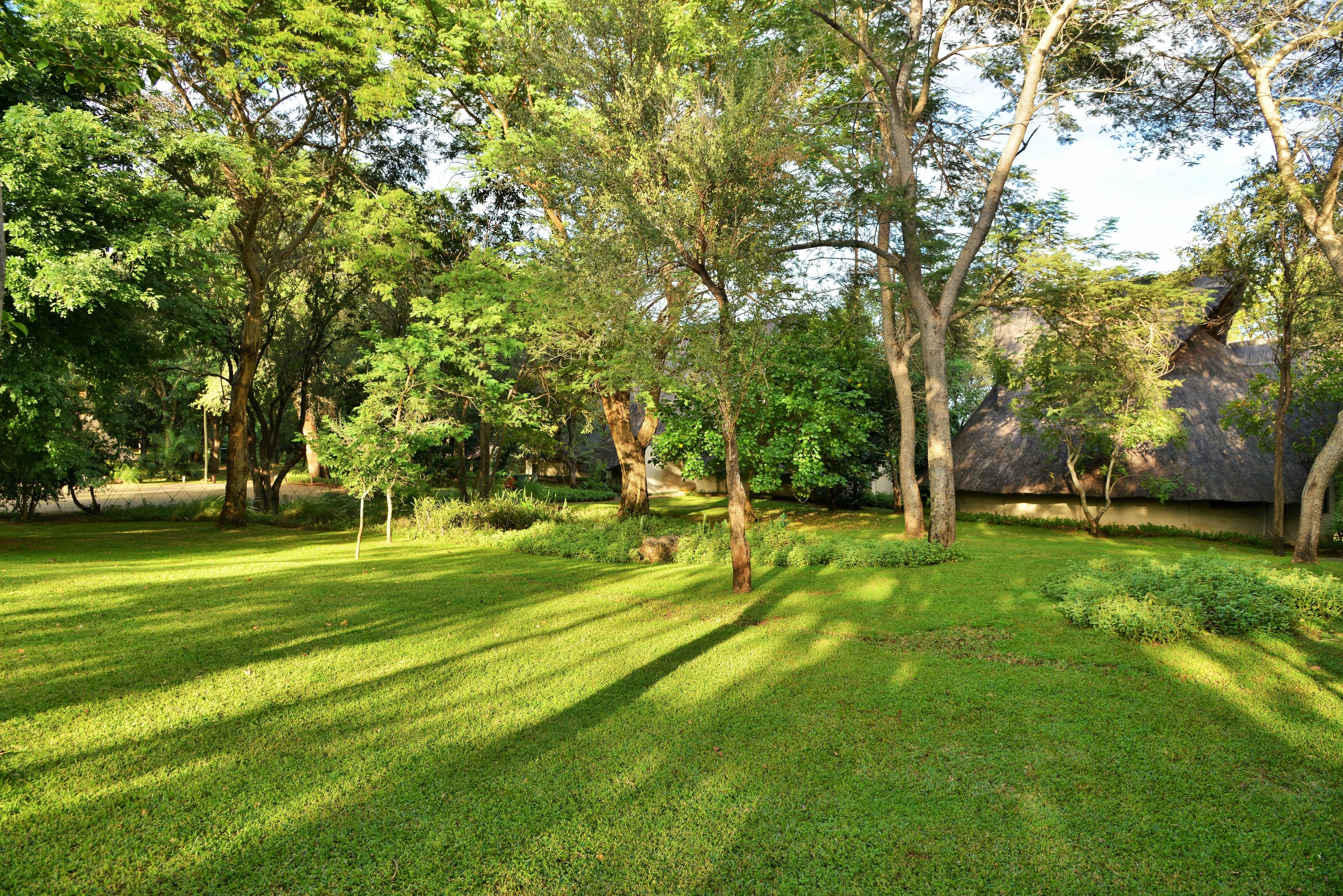 A well-maintained garden with mature trees and a neatly trimmed lawn.