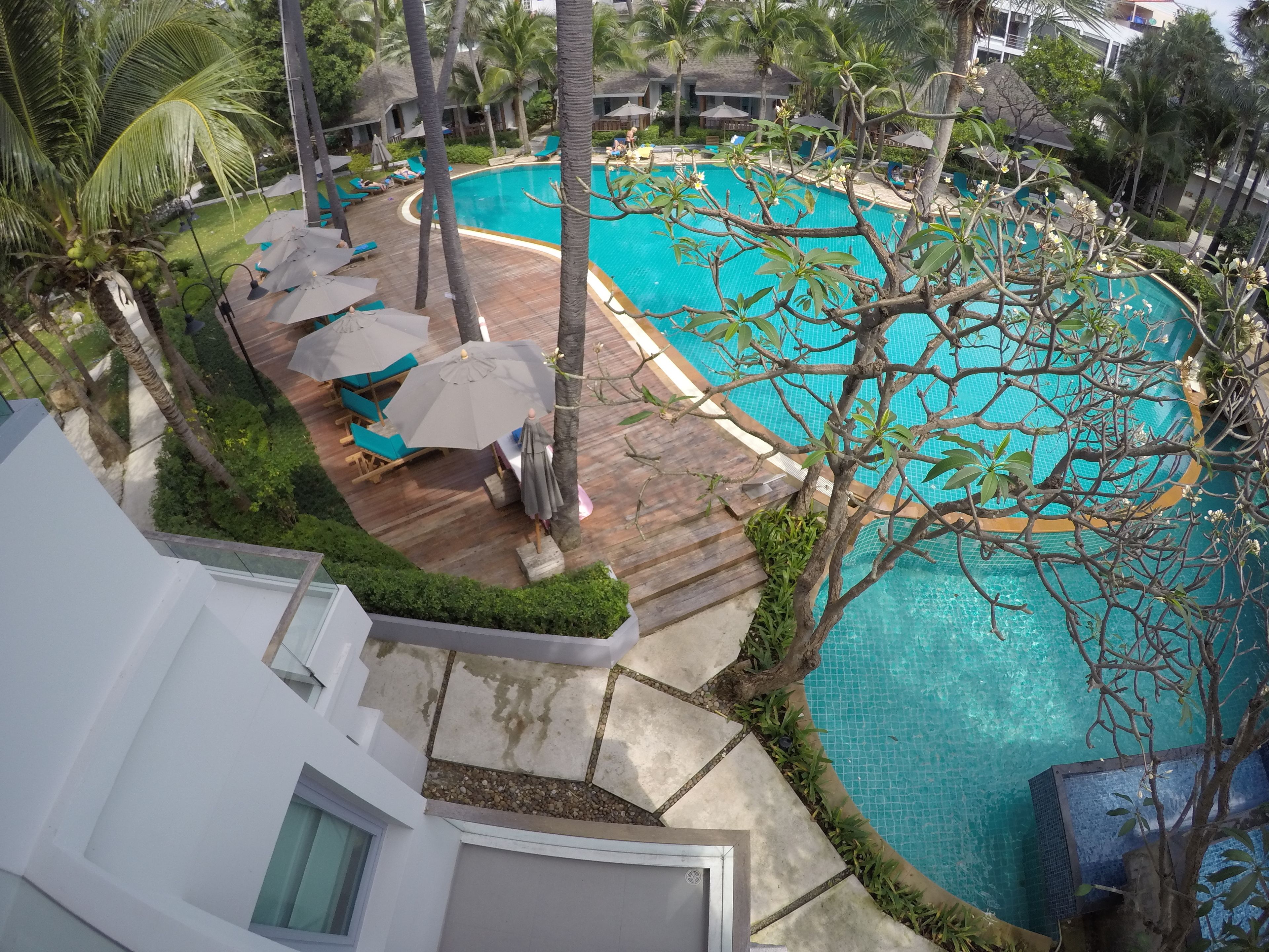 outdoor pool, pool loungers