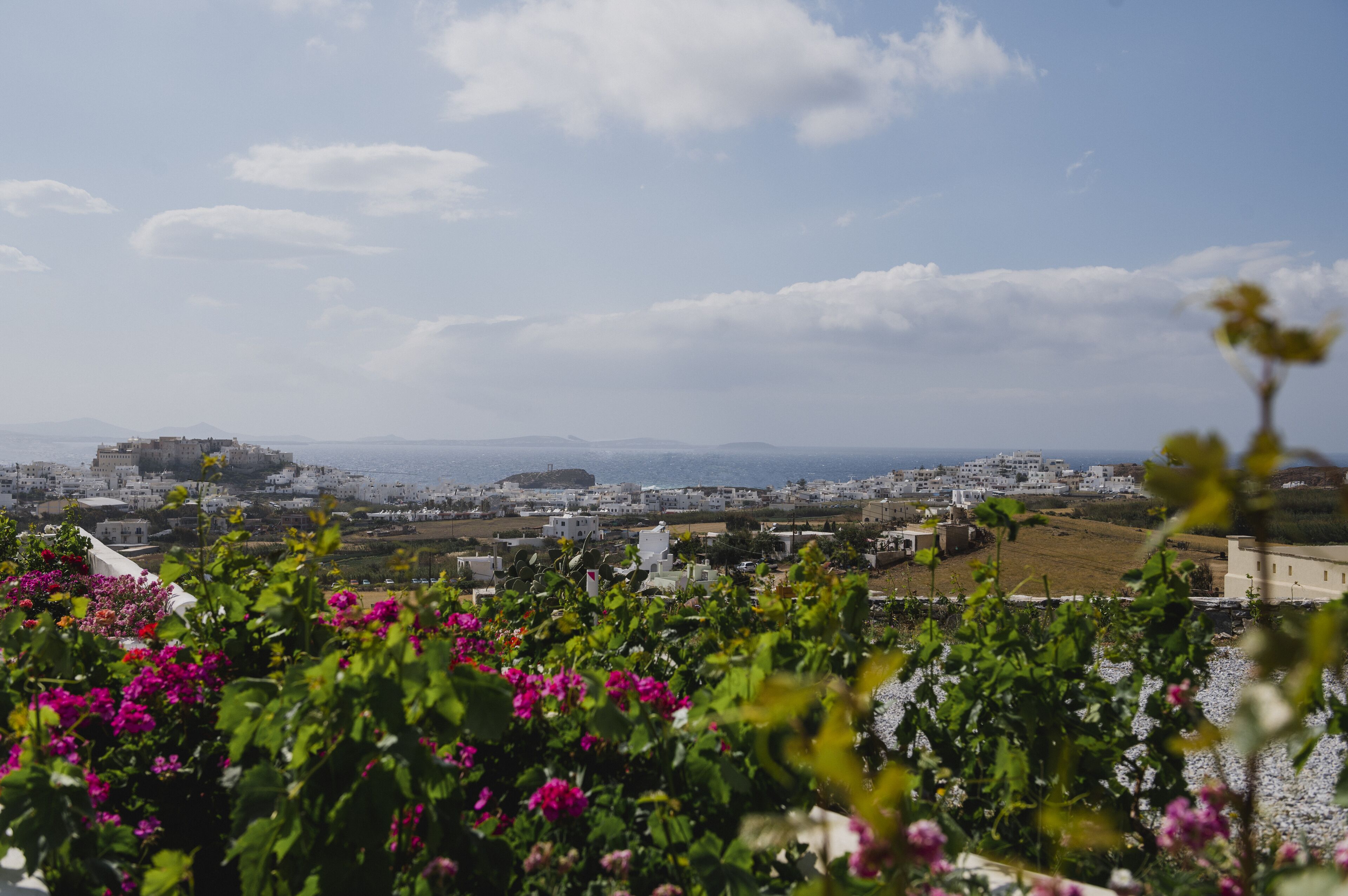 Foto - Petros Studios & Suites