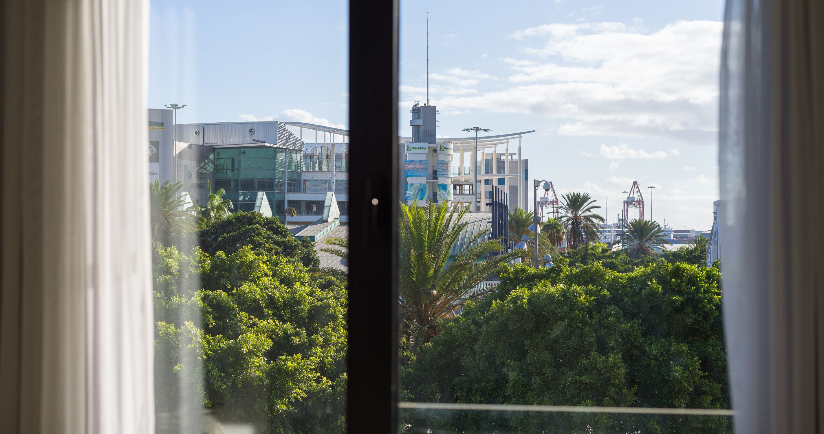 Vista a través de una ventana de un edificio moderno con fachada de vidrio, rodeado de abundante vegetación.