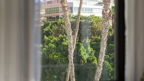 Una ventana con vista a un edificio alto y dos palmeras.