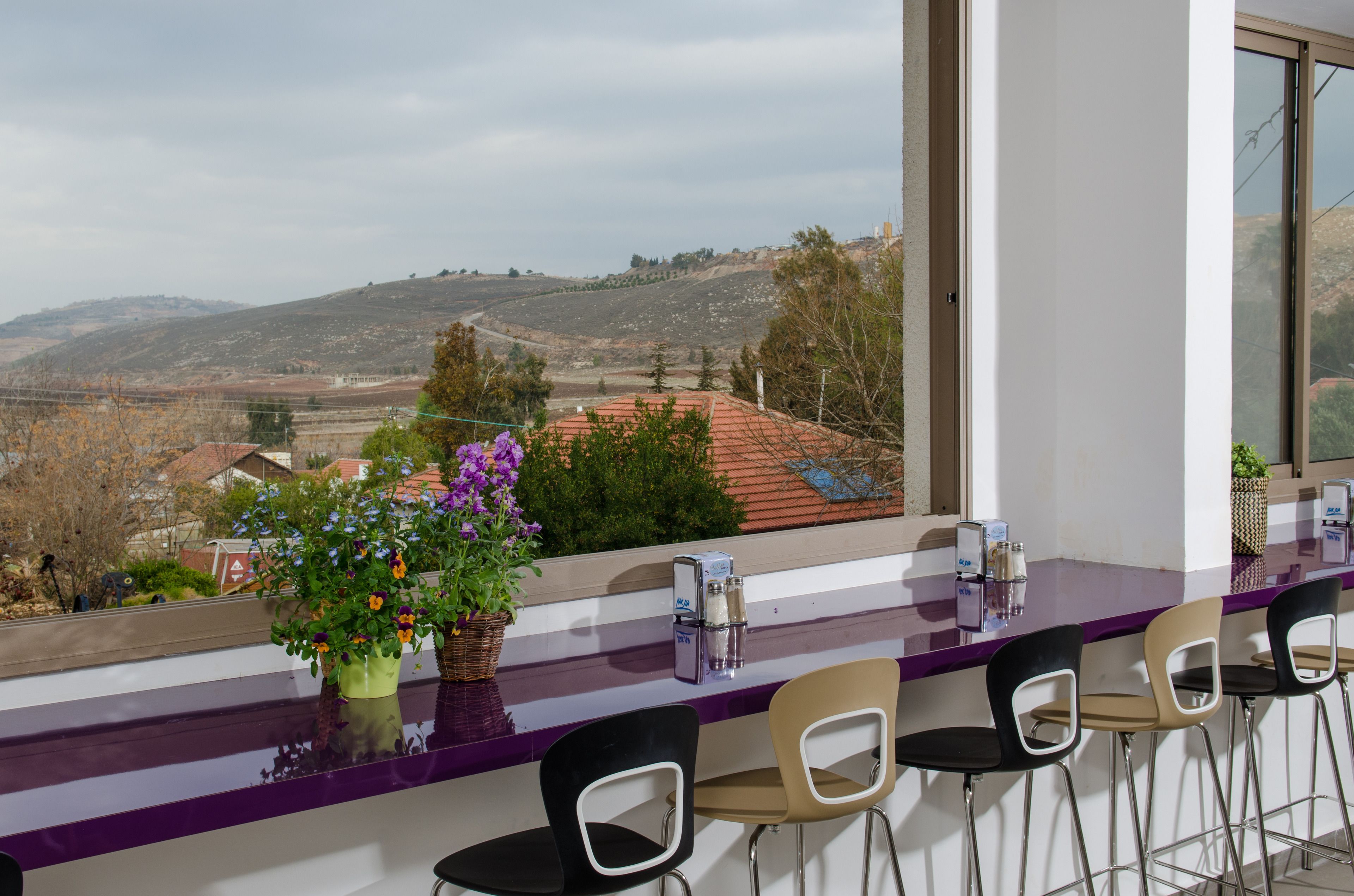 Daily buffet breakfast (ILS 40 per person)