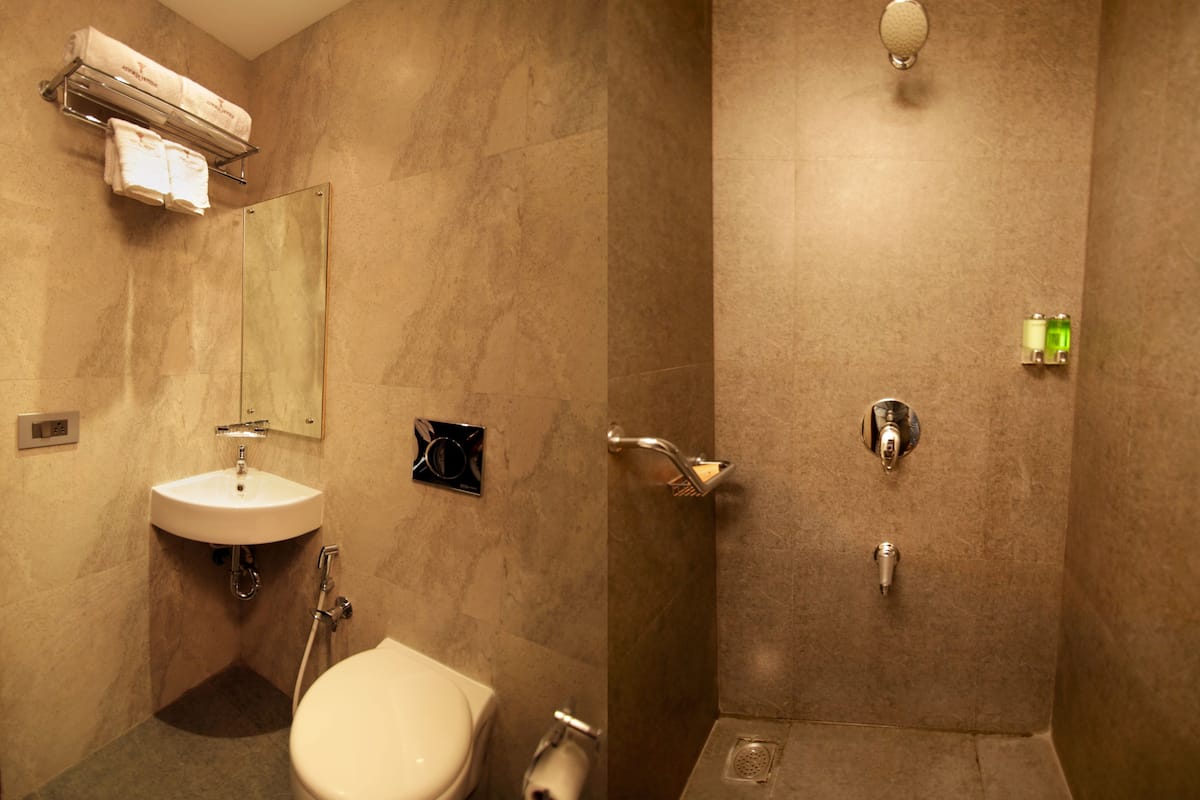 shower, free toiletries, hair dryer, towels