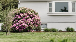 A white house with a grey roof, surrounded by a well-maintained lawn and flowering bushes. - Greyfinch Chatham Inn (Chatham)