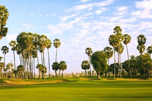 Golf - La Palmeraie. D'angkor (Siem Reap)