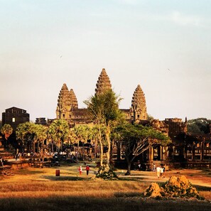 Point of interest - La Palmeraie. D'angkor (Siem Reap)