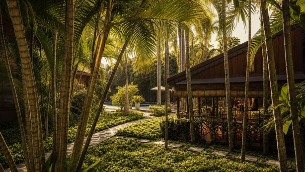 Un jardín tropical con una estructura de bambú, un sendero y abundante vegetación.
