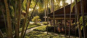 La Palmeraie. D'angkor