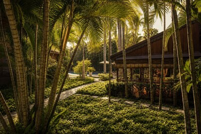 La Palmeraie. D'angkor