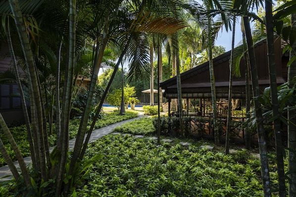 Mittagessen, Abendessen, asiatische Küche, Blick auf den Pool
