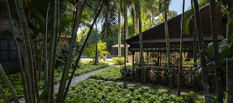 La Palmeraie. D'angkor