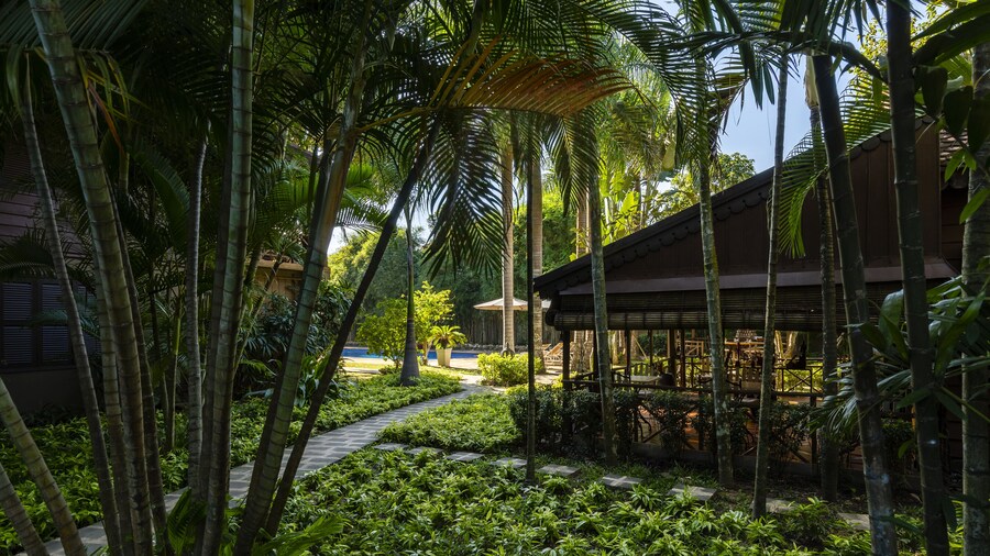 La Palmeraie. D'angkor