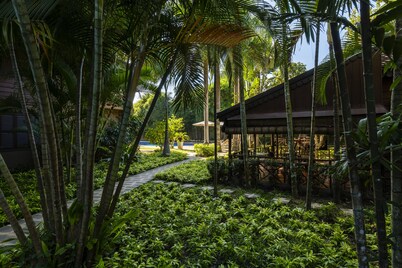 La Palmeraie. D'angkor