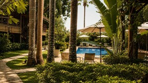 Zona de piscina con palmeras, un sendero y mobiliario exterior.