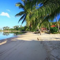 On the beach, beach umbrellas, beach bar, kayaking