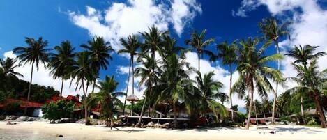A beach with palm trees and a clear sky.