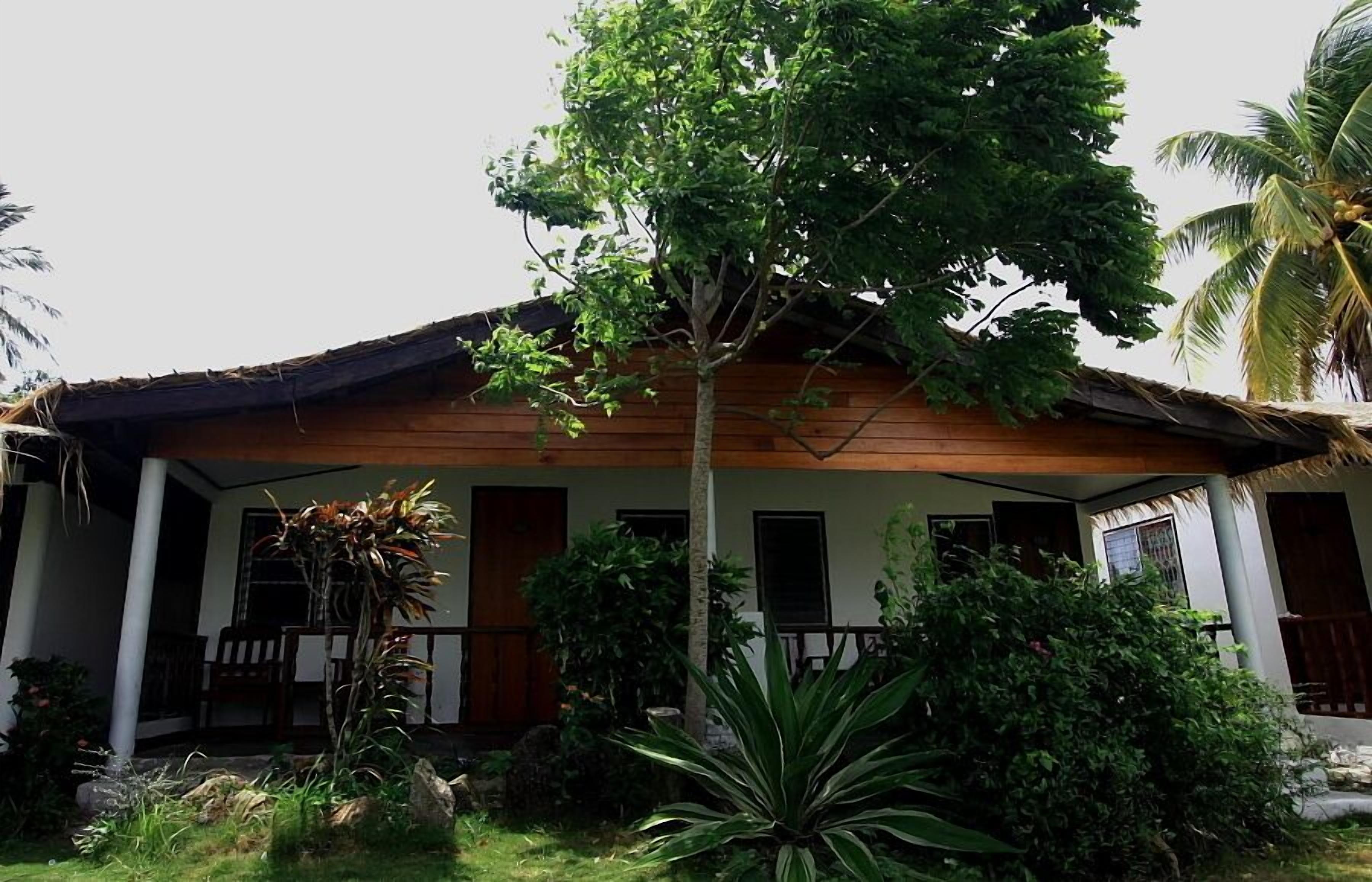 A wooden house with a thatched roof, surrounded by lush greenery and palm trees.