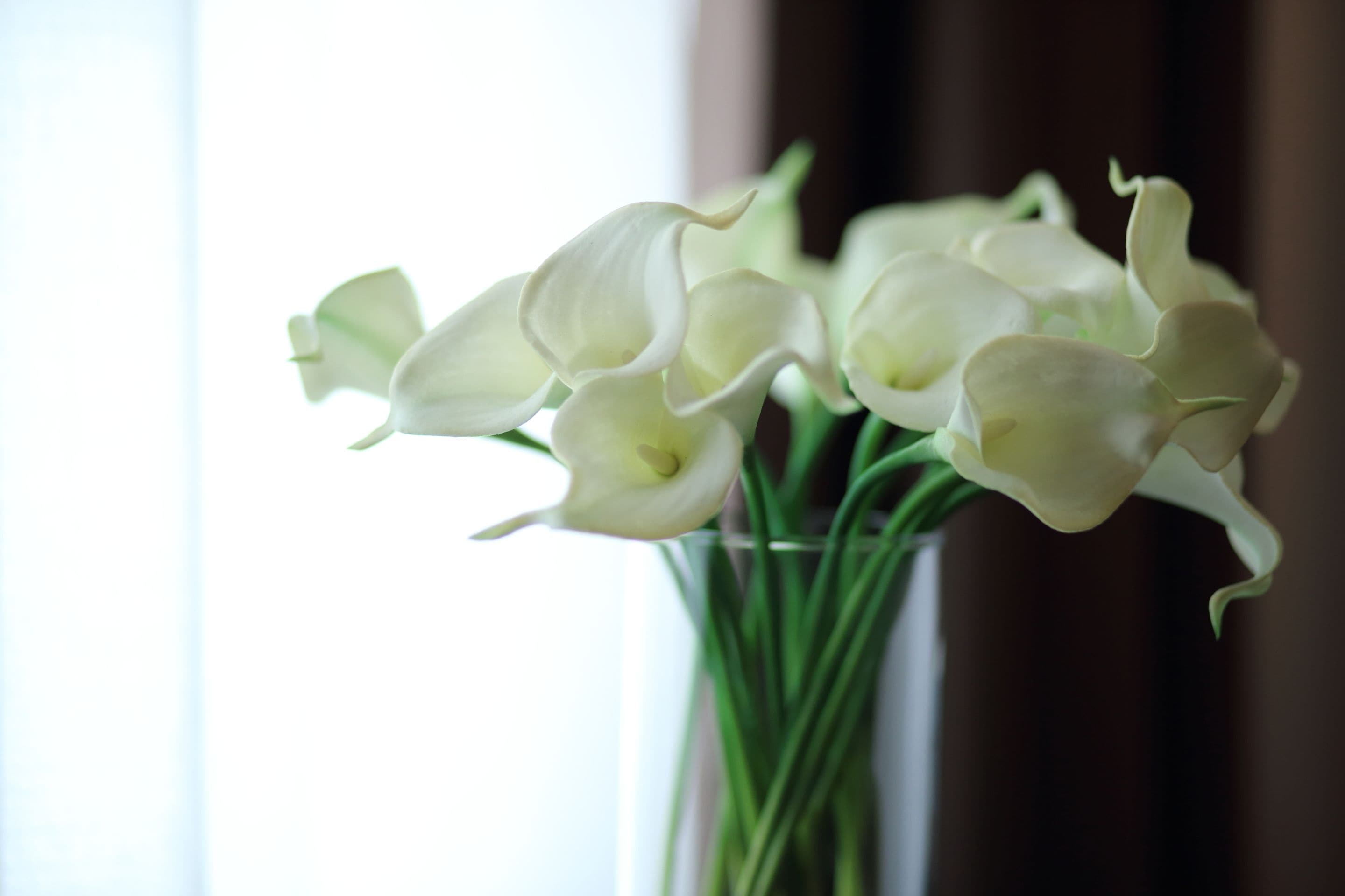 Foto - Stelle Hotel The Businest