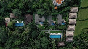 View from property - Suara Air Resort Ubud (Ubud)