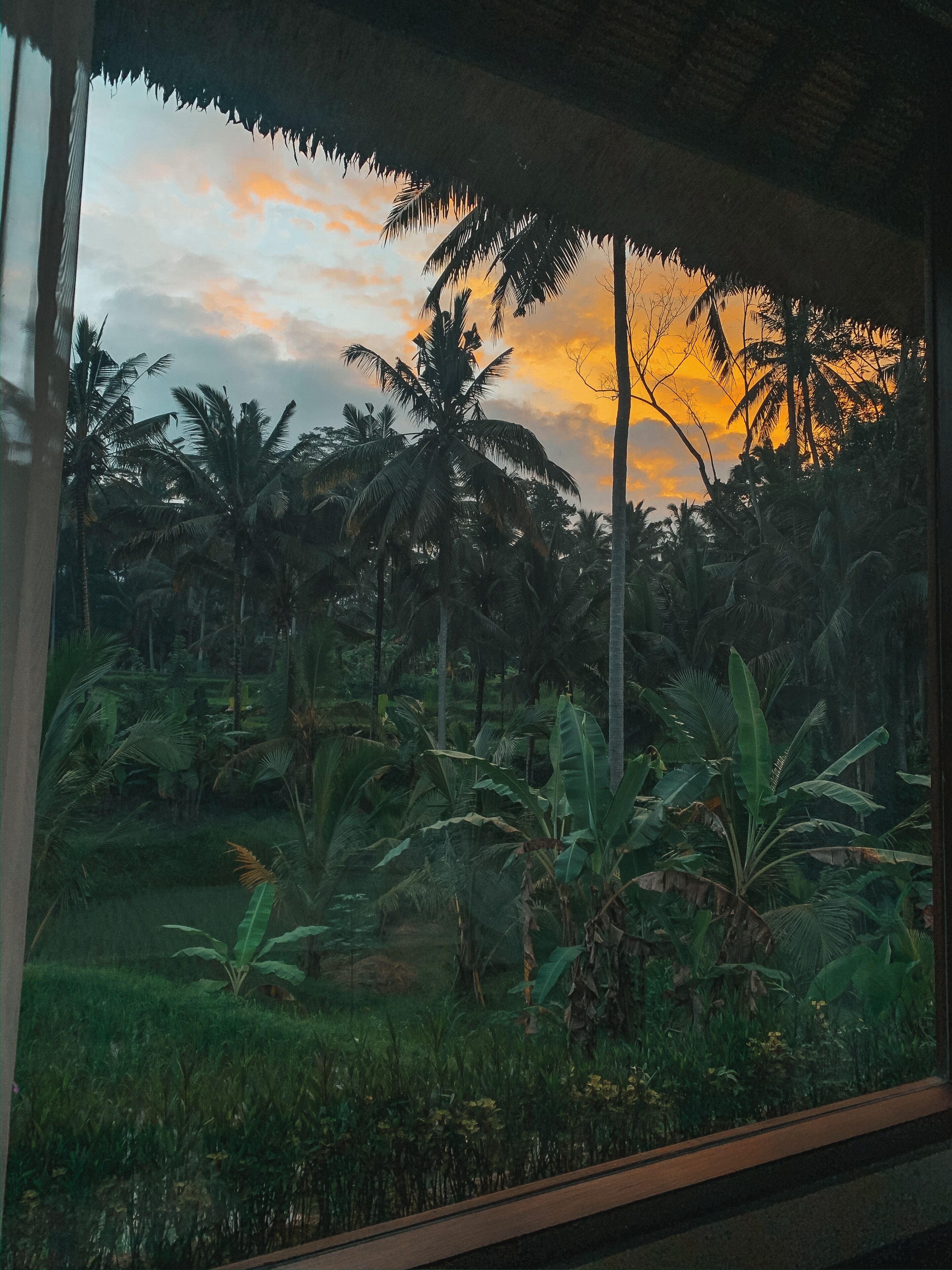 Foto - Suara Air Resort Ubud