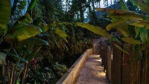 Un sendero de piedra bordeado de abundante vegetación e iluminado con luz tenue.
