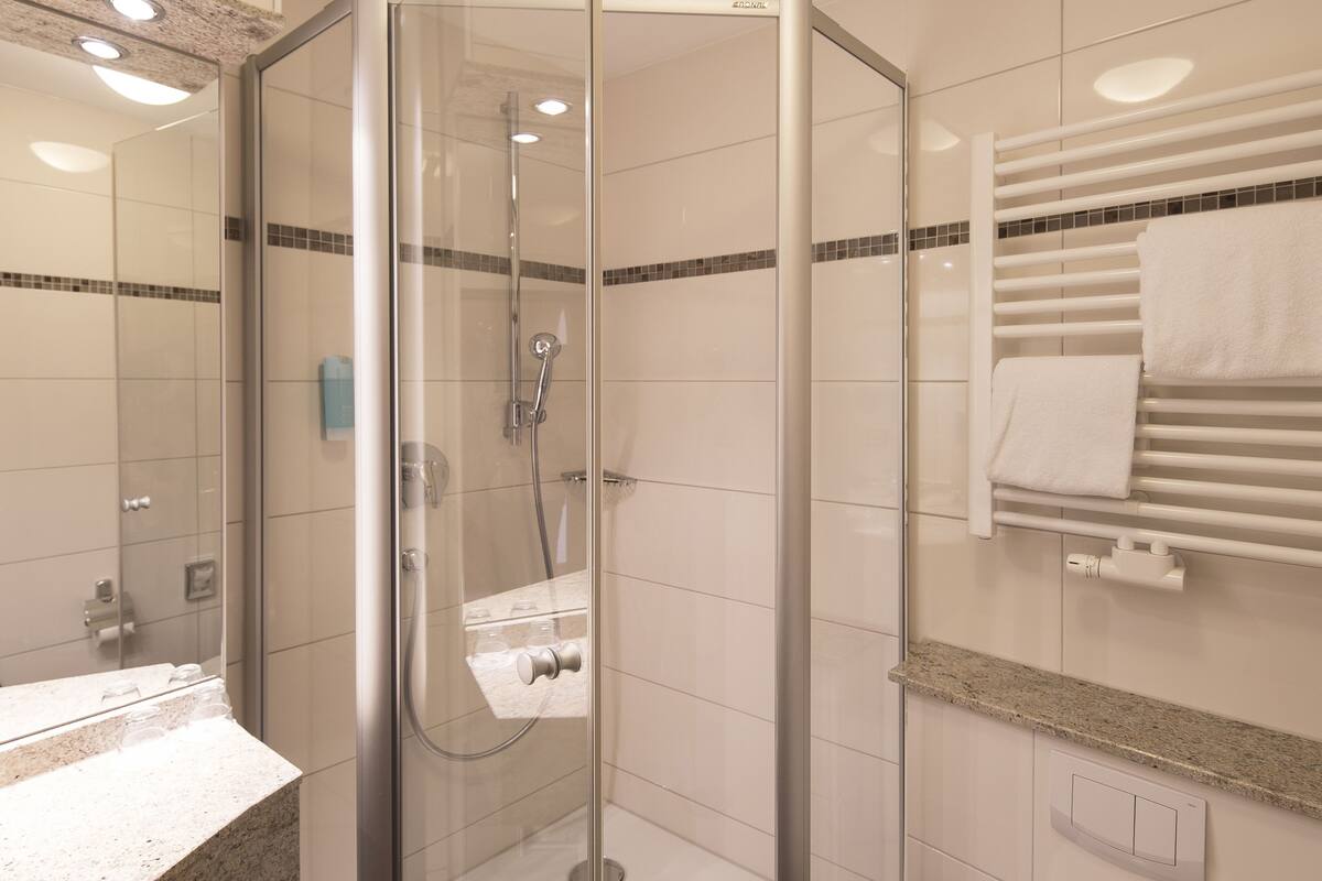 hydromassage showerhead, free toiletries, hair dryer, towels