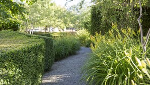 Un chemin de gravier bordé de haies soigneusement taillées et d’une végétation luxuriante.