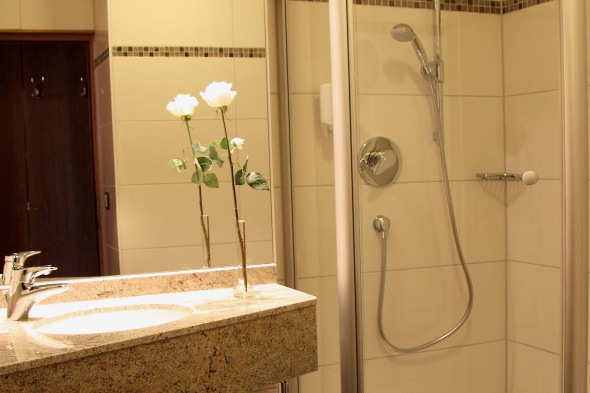 hydromassage showerhead, free toiletries, hair dryer, towels
