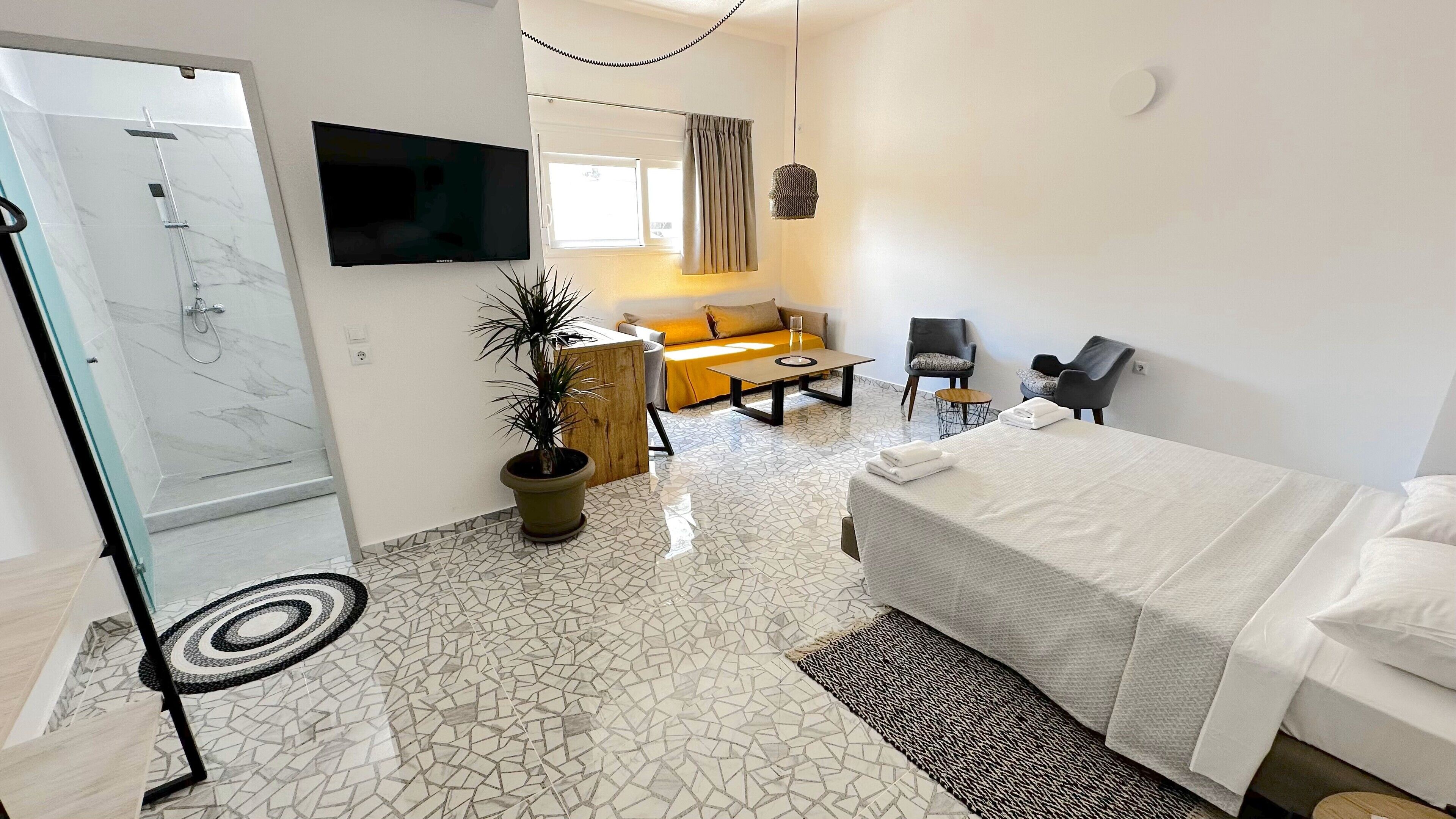 A modern hotel room with a bed, a sofa, a TV, a shower, and a potted plant.