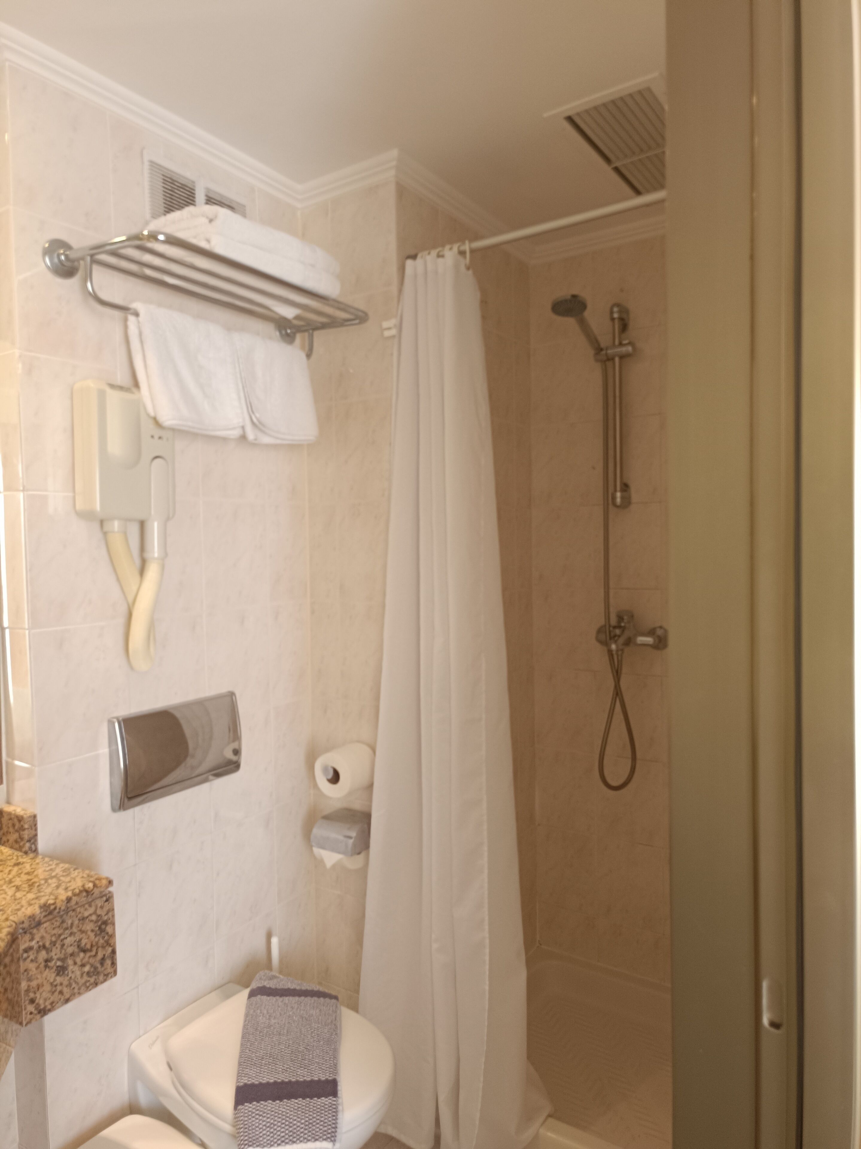 Un baño con inodoro, ducha y toallero.