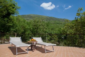 Property grounds - Agriturismo La Sfruscià (San Gregorio Magno)