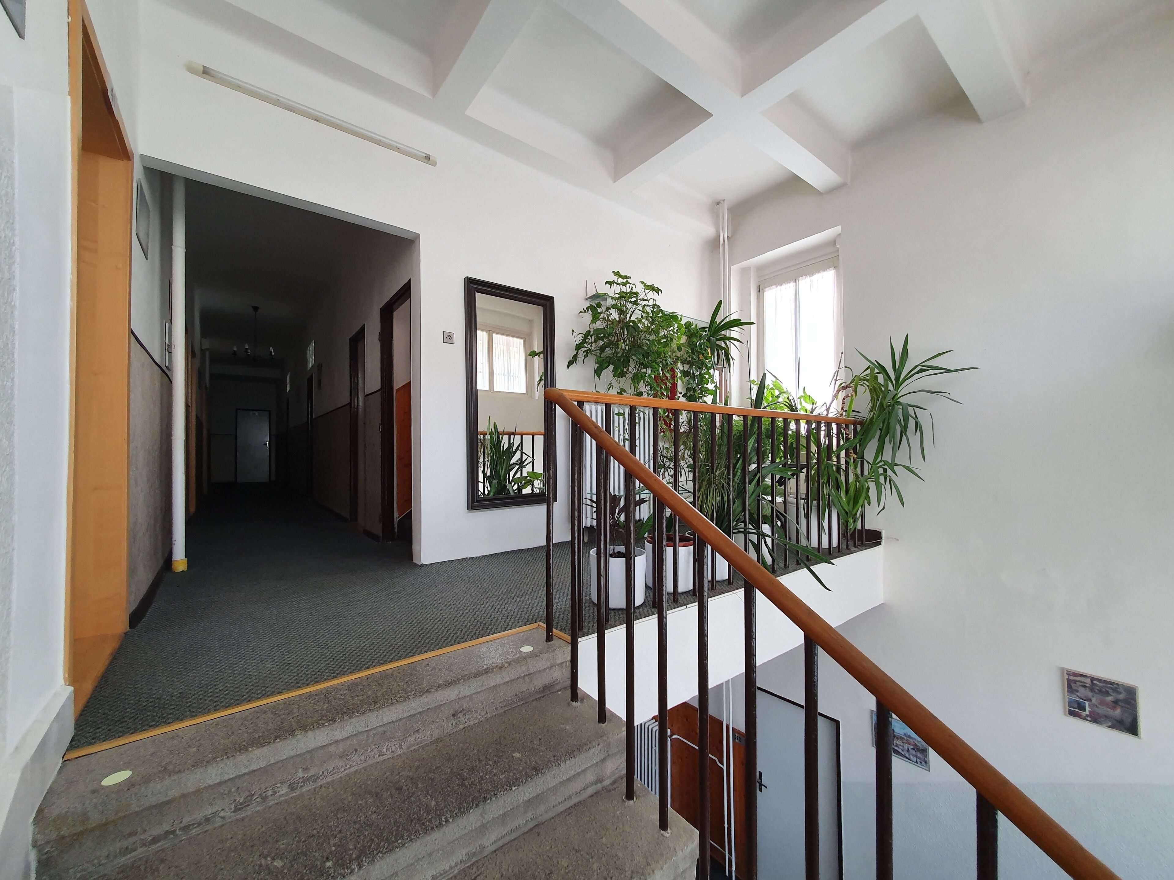 Photo - Residence Dykova - former Pension Jana, Domov Mládeže