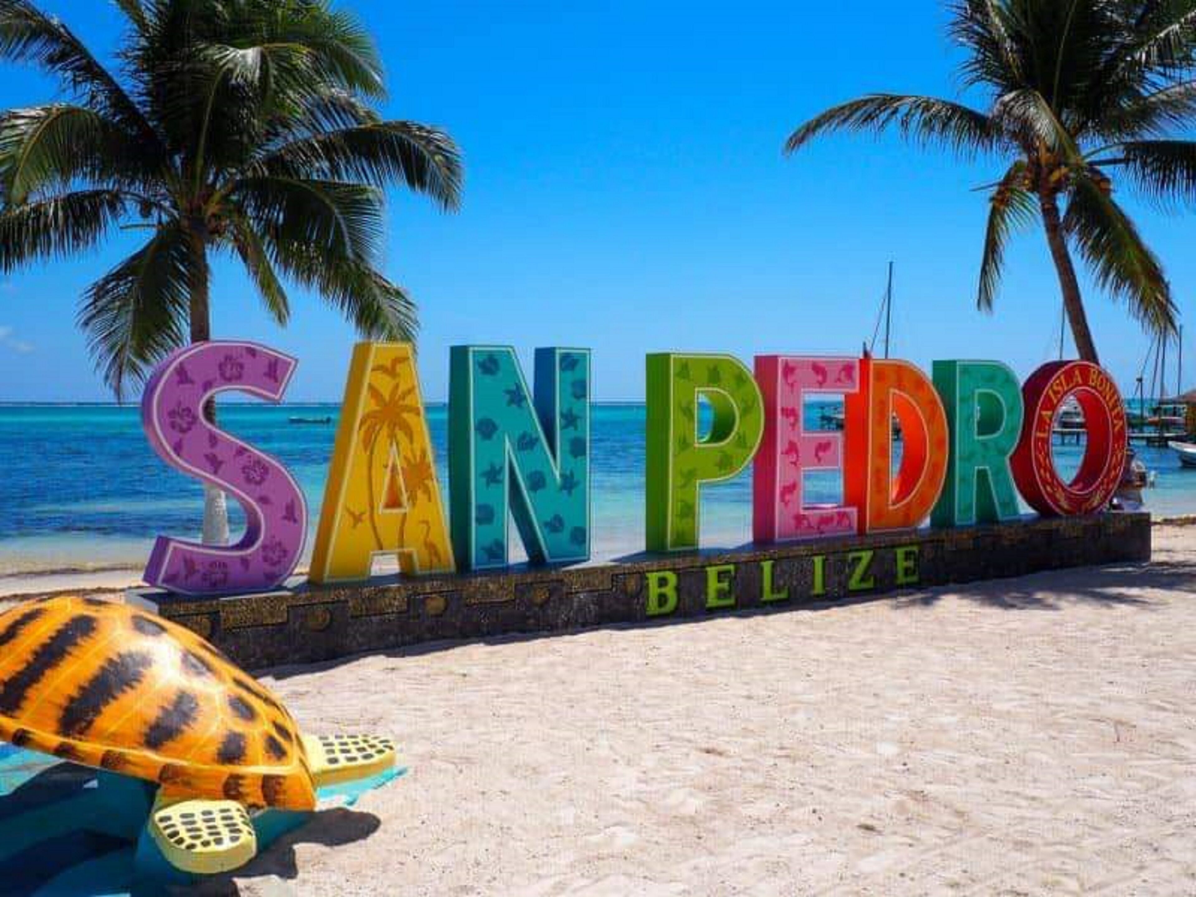 A beach sign with the name "SAN PEDRO BELIZE" and a turtle sculpture.