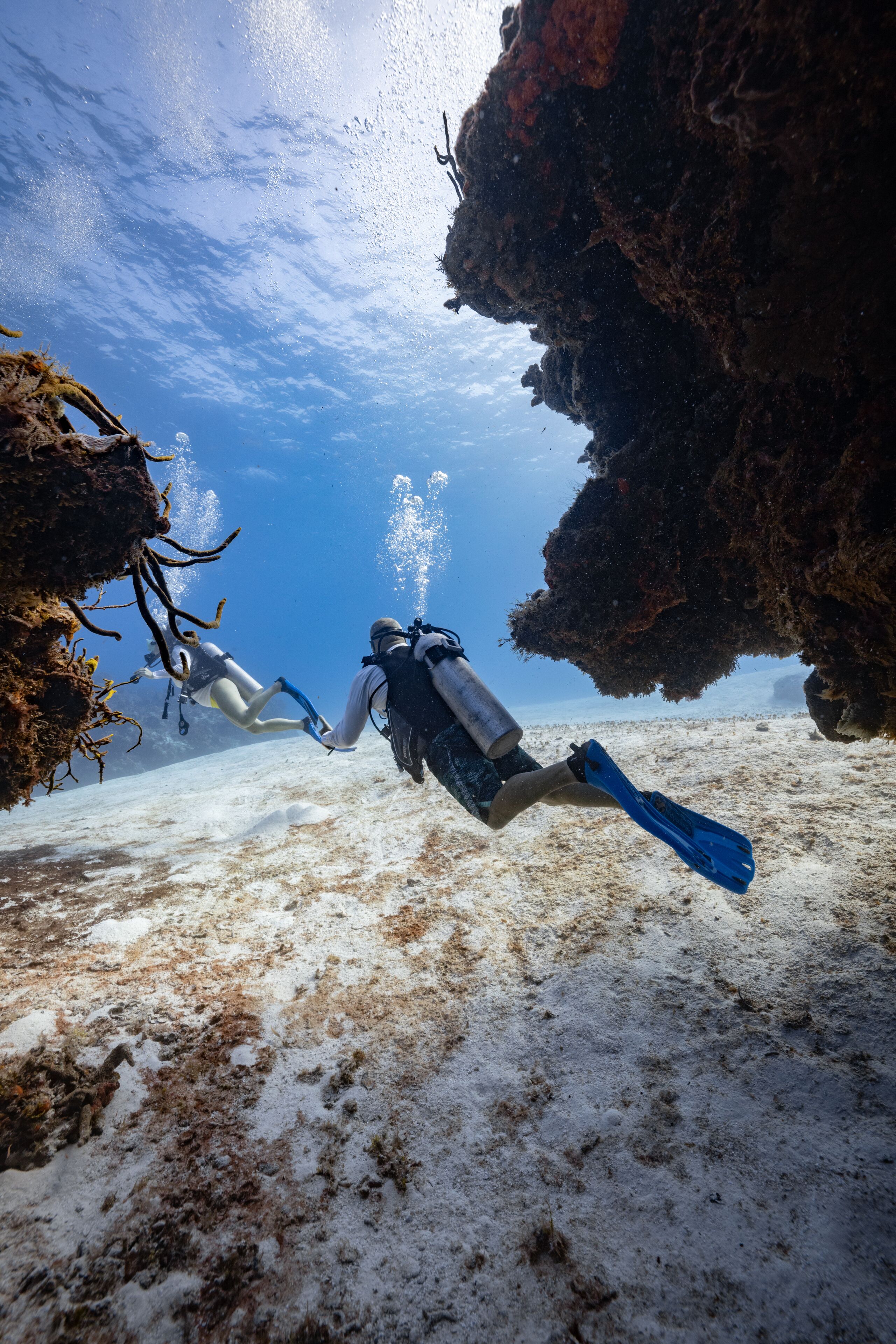 A diver swimming underwater near a rocky formation.