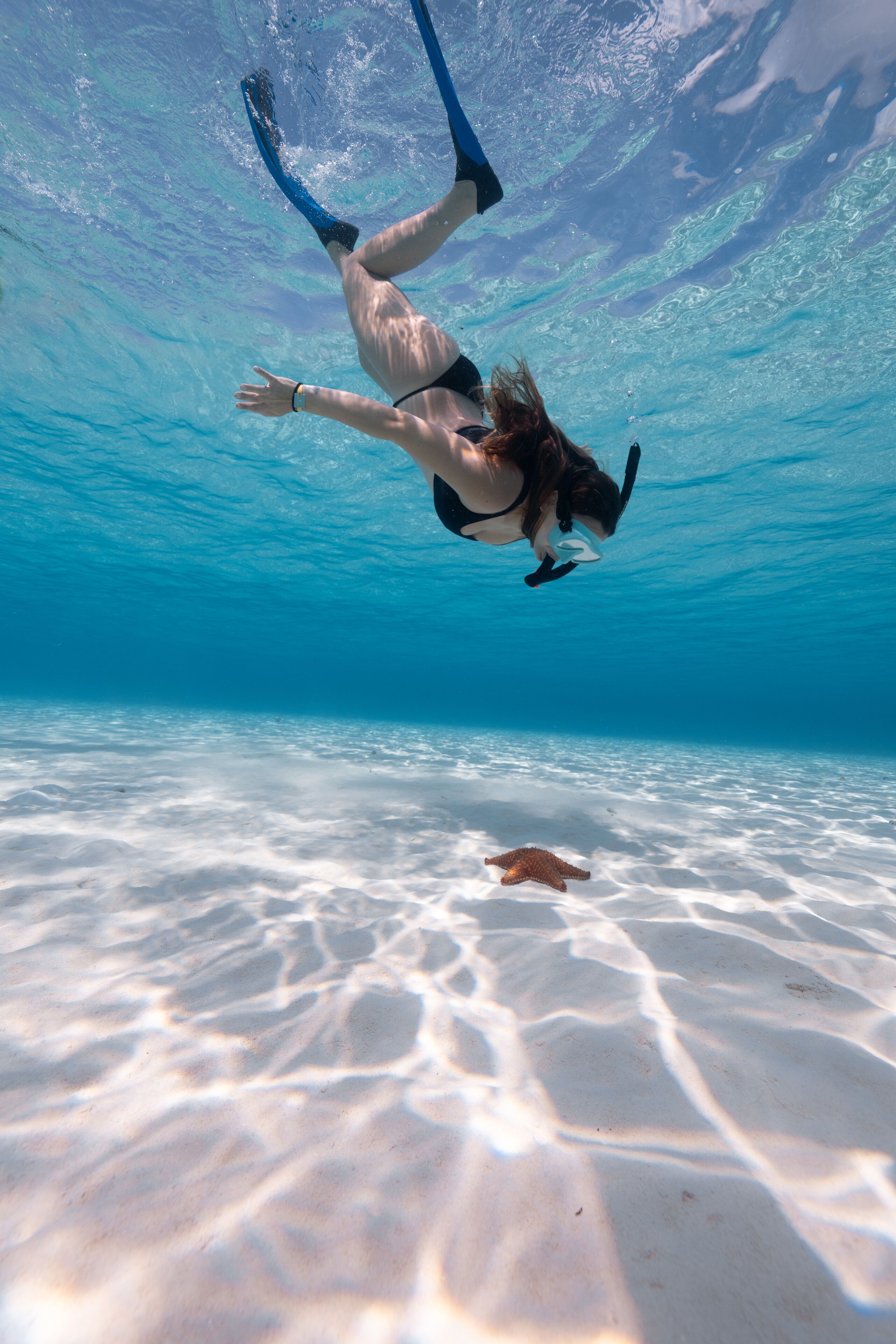 An underwater scene with a person swimming and a starfish on the sandy ocean floor.