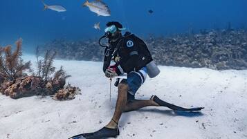 A diver on the ocean floor with fish swimming around.