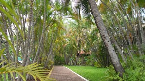 A paved pathway flanked by tall palm trees and lush greenery, leading to a building with a red roof. - Hotel Poza Rica Inn (Poza Rica)