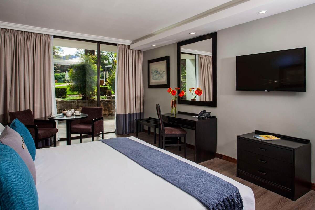 A hotel room with a large bed, a desk, a chair, a TV, and a view of a garden.