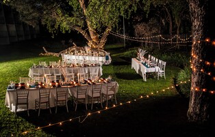 An outdoor dining area with tables set for a meal, surrounded by trees and string lights.