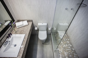 A modern bathroom with a granite countertop, a white sink, a toilet, and a glass-enclosed shower. - Avani Maseru Hotel (Maseru)