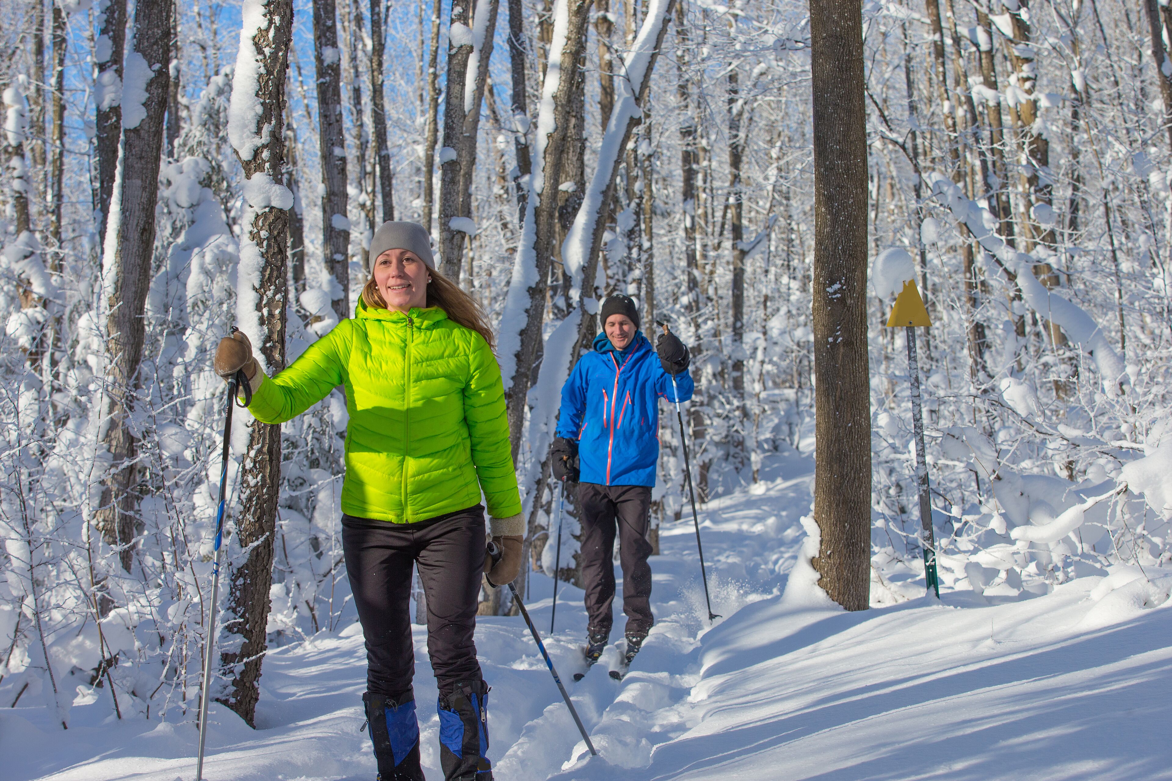 Dos personas esquiando de fondo en un bosque nevado.