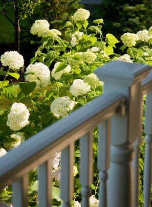Un escalier doté d’une rampe, entouré de fleurs blanches et de feuillage verdoyant.