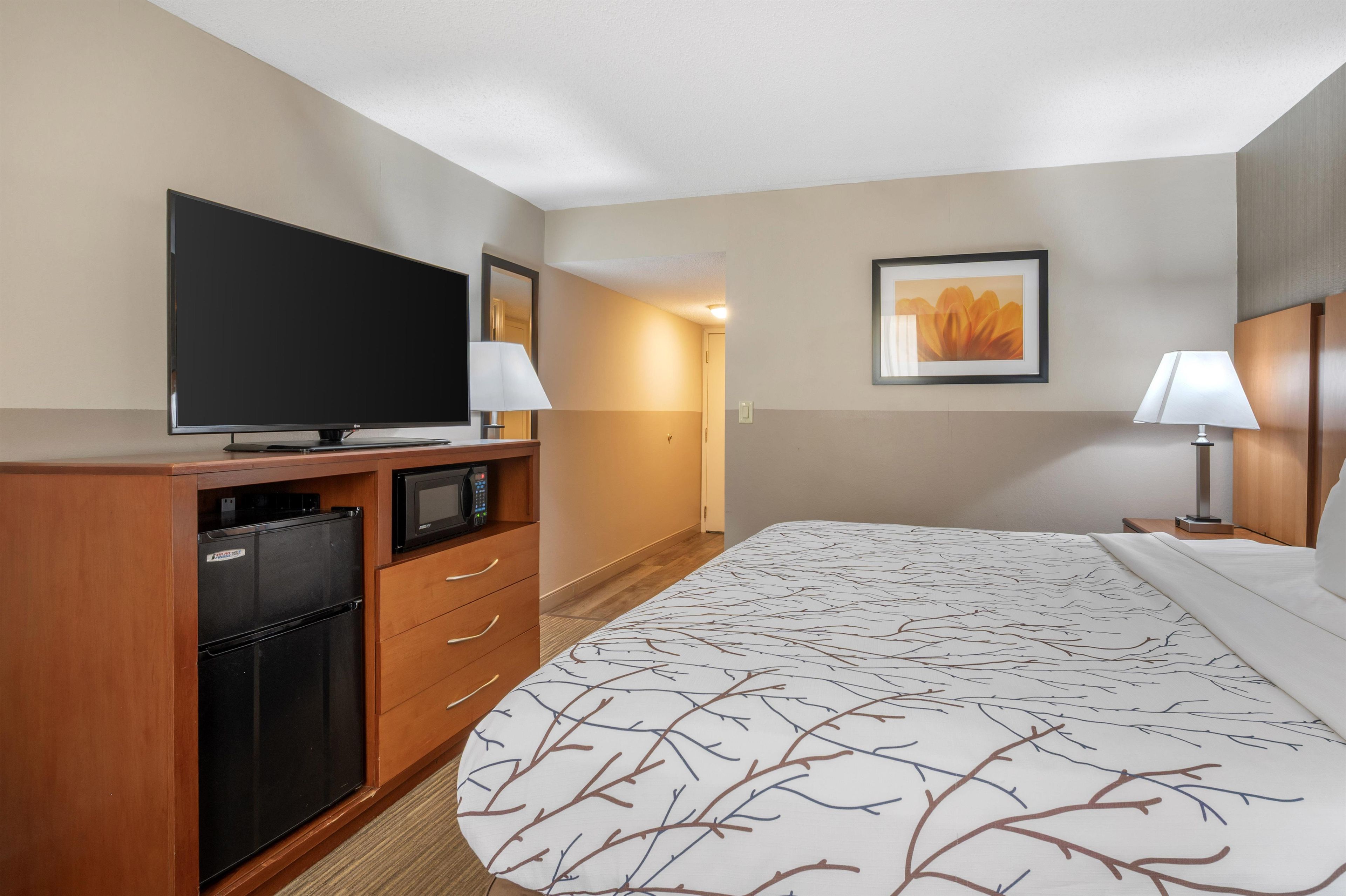 A hotel room with a bed, a television, a microwave, a refrigerator, a desk, and a framed picture on the wall.