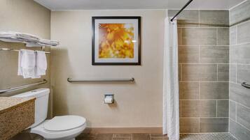A bathroom with a toilet, a towel rack, a framed picture, a shower area, and a handrail.